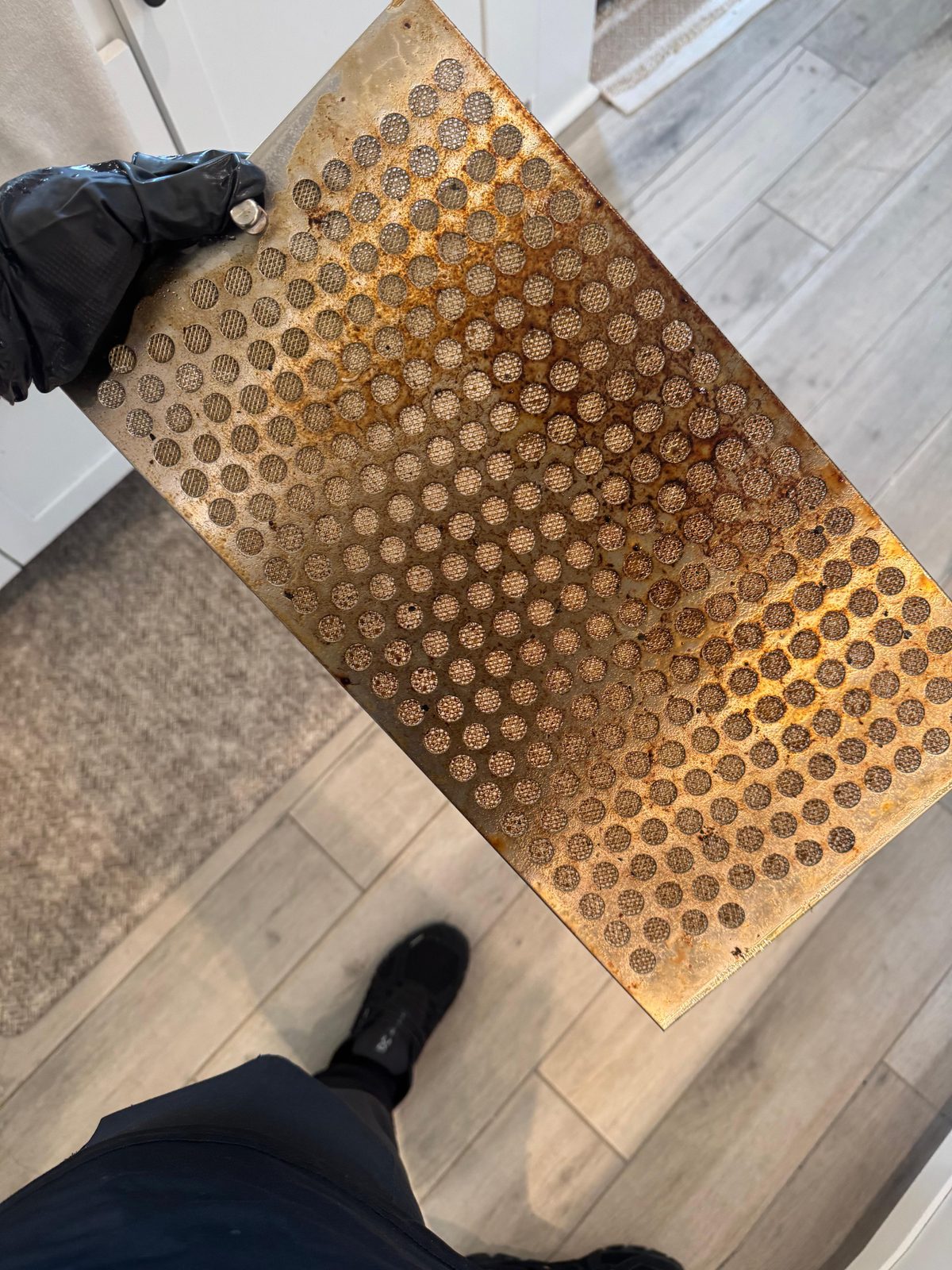 Kitchen degrease: range hood filter — before